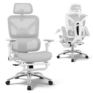 Ergonomic Office Chair with Footrest